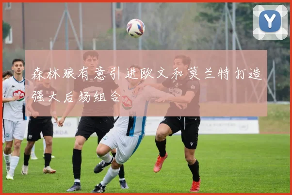 森林狼有意引进欧文和莫兰特打造强大后场组合